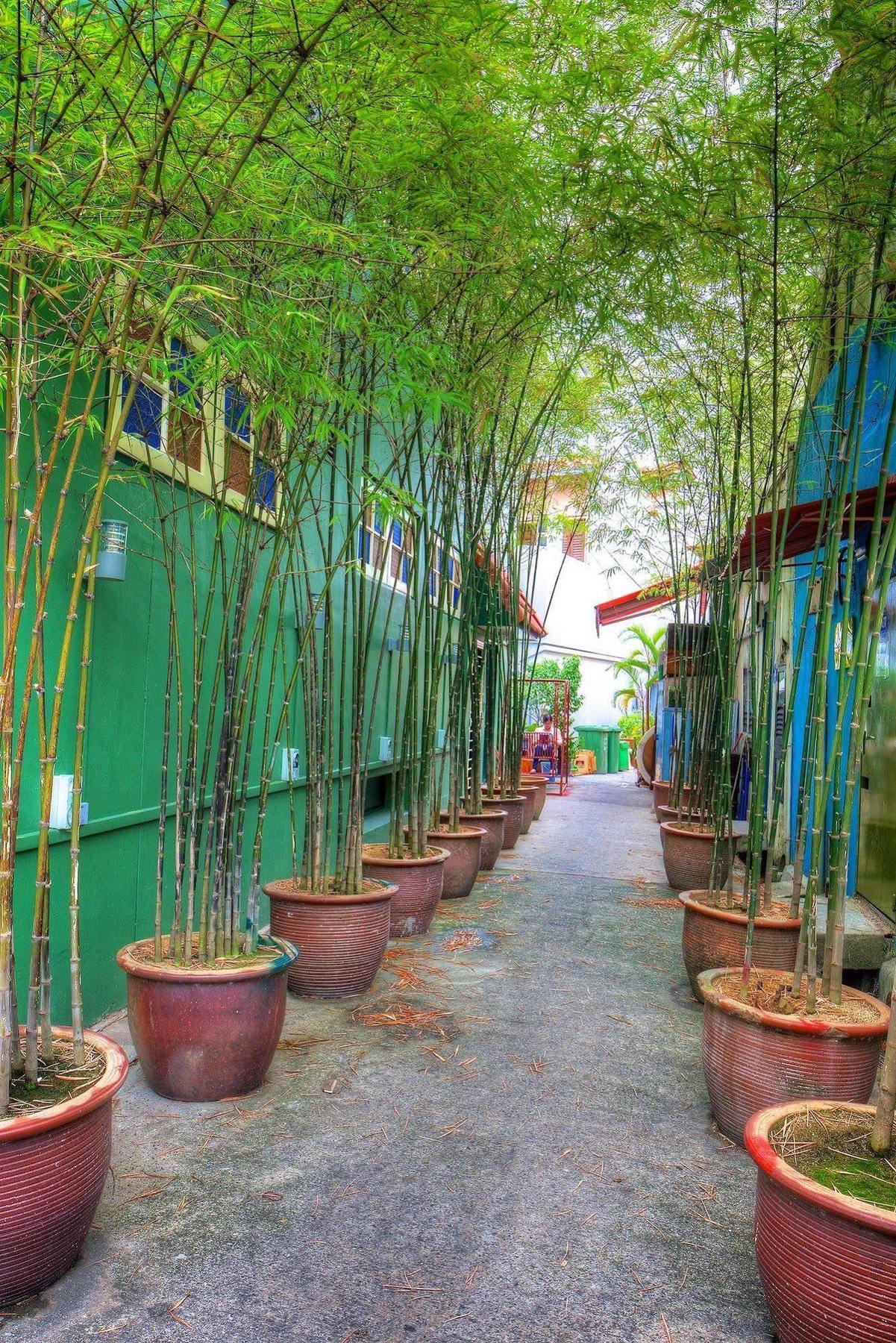 Superb Hostel Singapura Luaran gambar